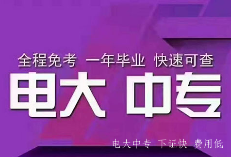 一年制電大中專(zhuān)正規收費多少？
